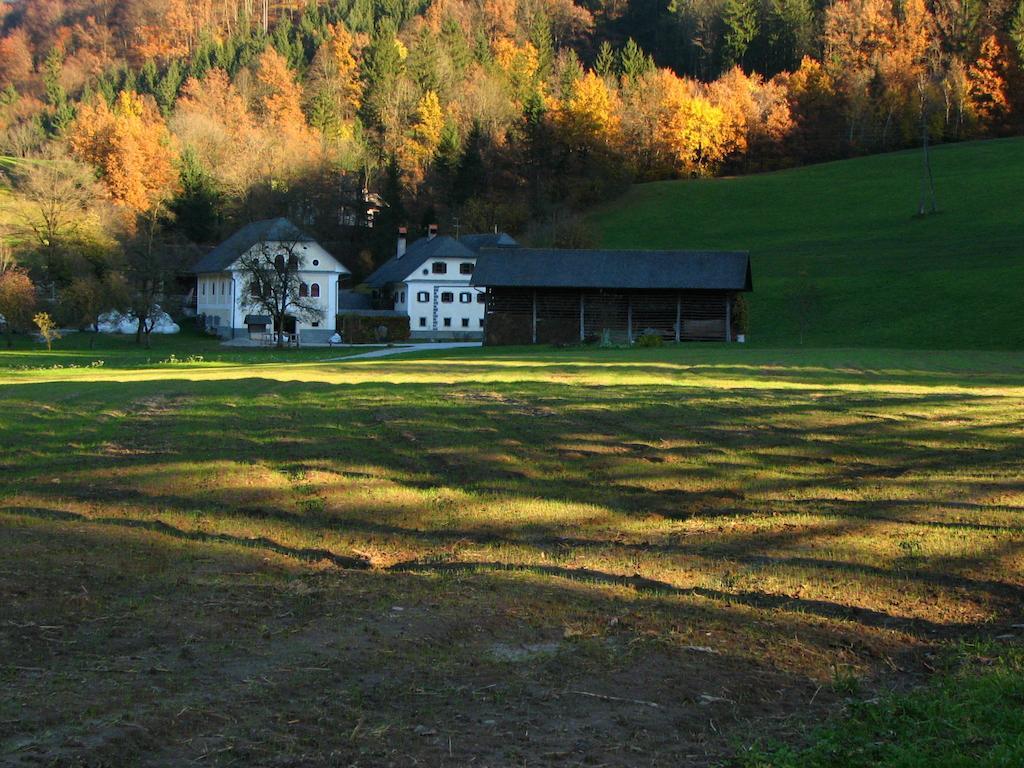 Apartment Cvetje V Jeseni